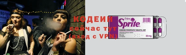 стаф Губаха