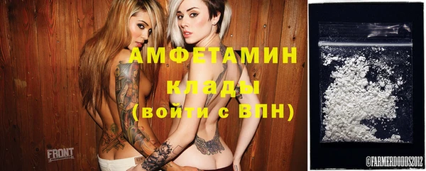 стаф Губаха