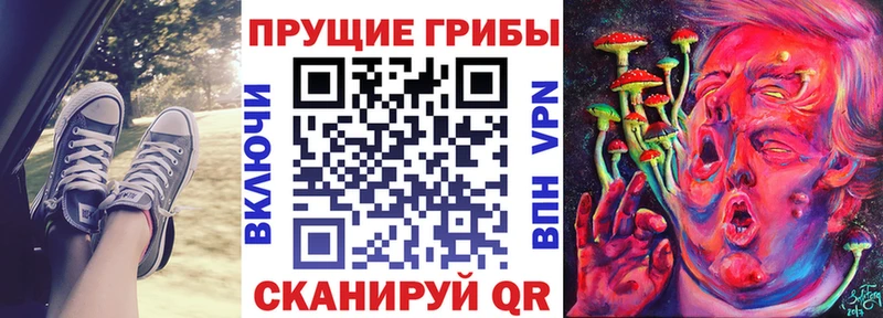 Галлюциногенные грибы прущие грибы  хочу   ссылка на мегу маркетплейс  Трубчевск 